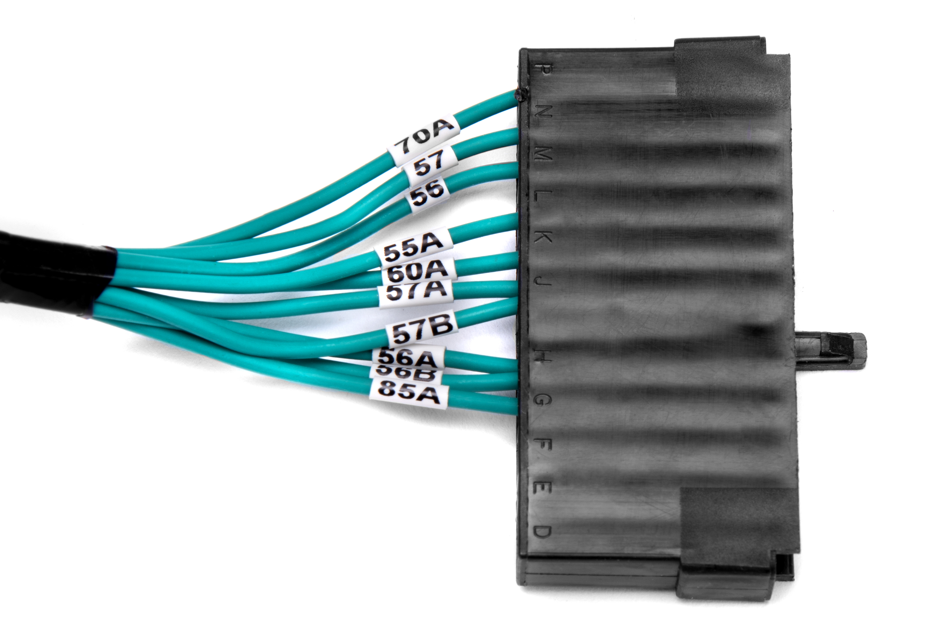 Scout Ii Wiring Harnes - Wiring Diagram Example