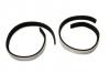 Scout 80, Scout 800 Liftgate OR Tailgate Side Seal Set