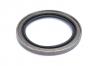 Scout 80, Scout 800 Wheel Hub Grease Seal Front -  & 800 1963 to 1971