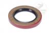 Scout 800 Extension Housing Seal - 800 Scout