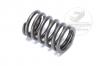 Valve Spring - Nissan SD-33 And SD-33T Diesel Motors
