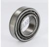 Scout 800 TAPERED ROLLER BEARING