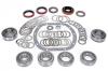 Scout 80, Scout 800 Dana 27 Rear Diff Overhaul Kit   1961 To 1965